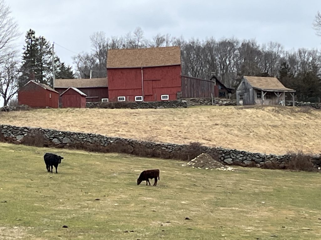 Ludorf Farm Southbury Ct