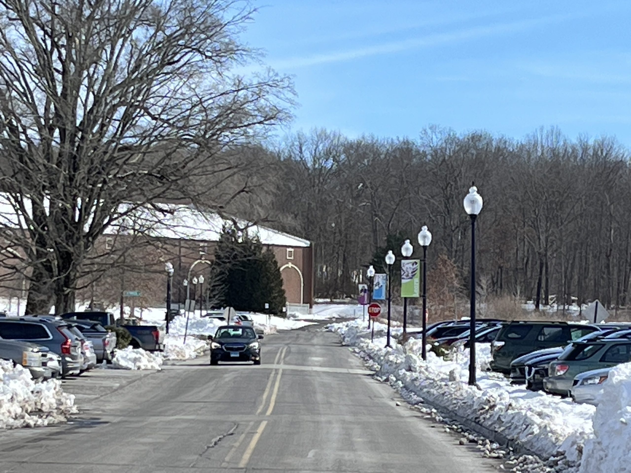 picture of an asphalt road lined with lampposts and trees and a brick building in the background
