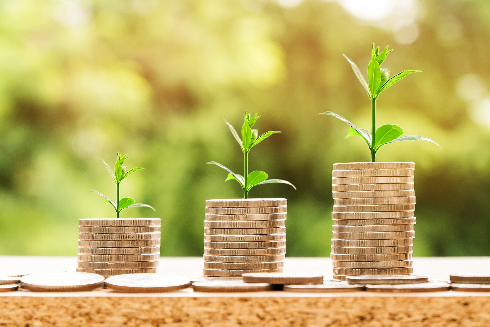 Picture of three piles of coins with leaves growing out of the top representing the growth of the money
