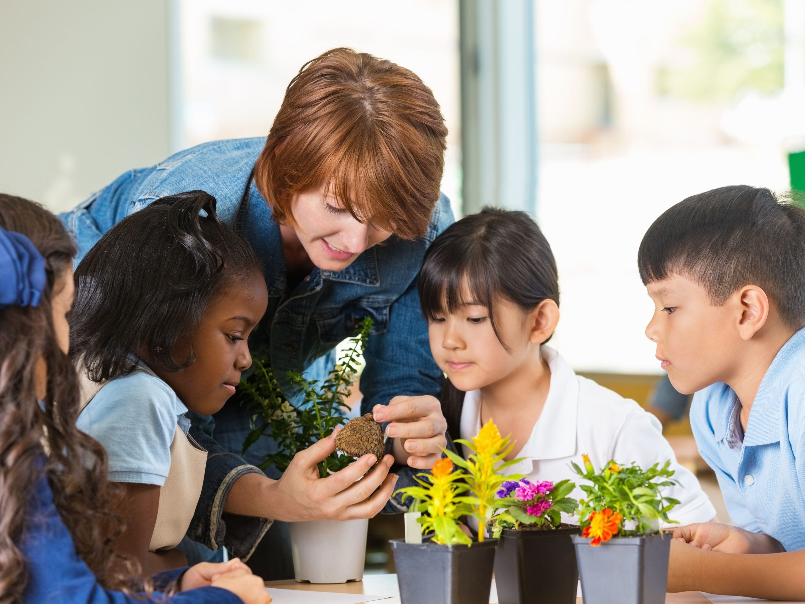 Kids with a Teacher